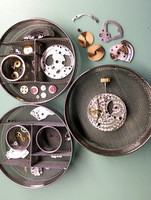 rolex service reinigung